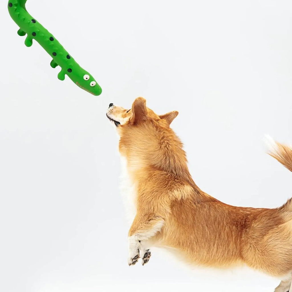 Green lizard-shaped dog chew toy with squeaker for aggressive small medium large breed dogs