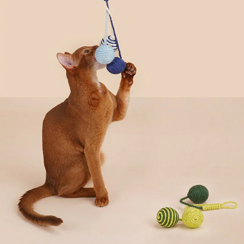 Cat teaser stick toy set with wand and three colourful catnip balls on blue background