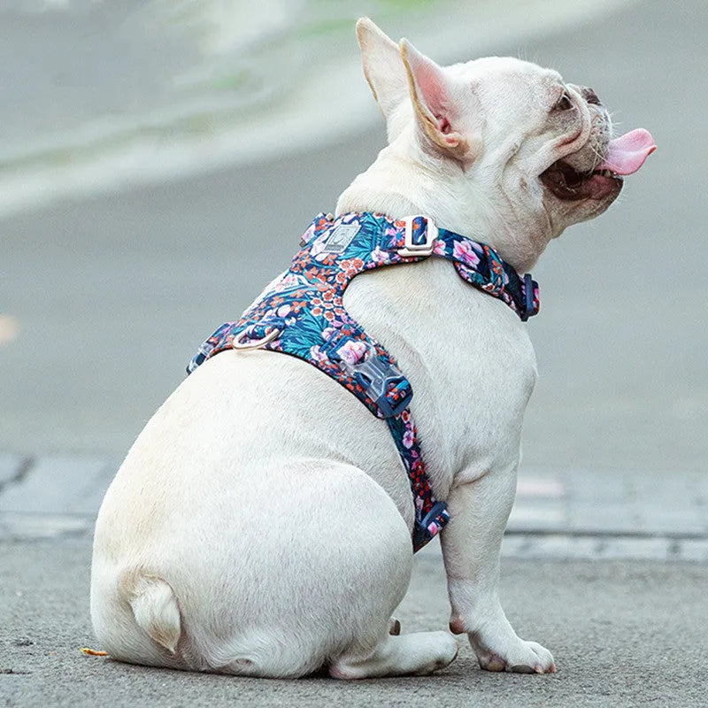 Floral pattern pet harness with chest strap for cats and small dogs