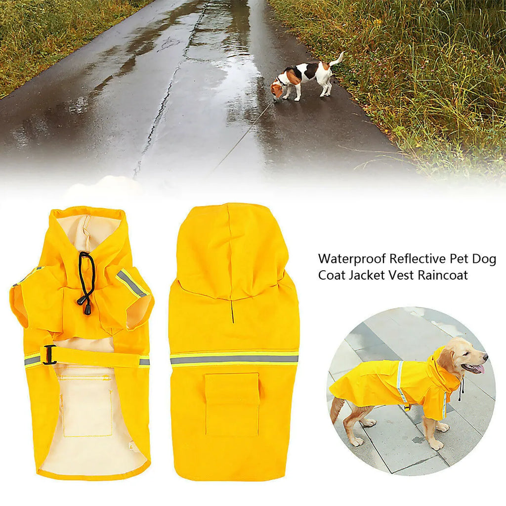 Waterproof dog raincoat in synthetic leather with reflective stripe and hood on a small dog