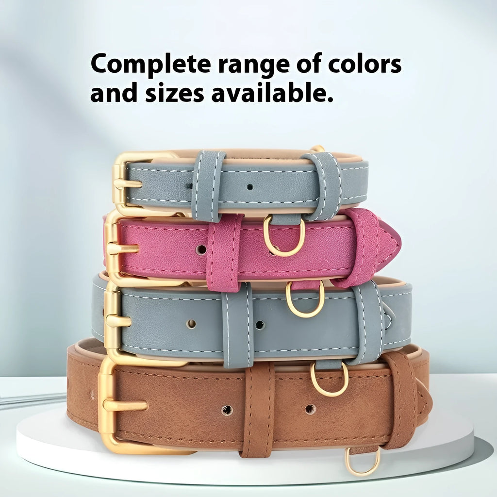 Double-layer leather dog collar and matching lead in rose red, showing adjustable buckle and size options.