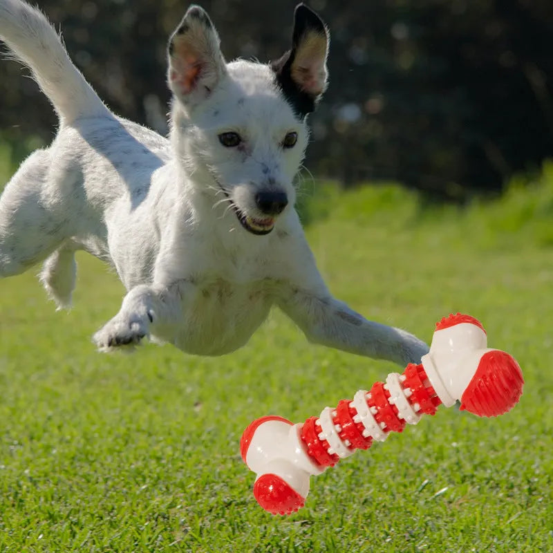 Blue bone-shaped interactive dog toy for small breeds with chewable ends and central treat holder