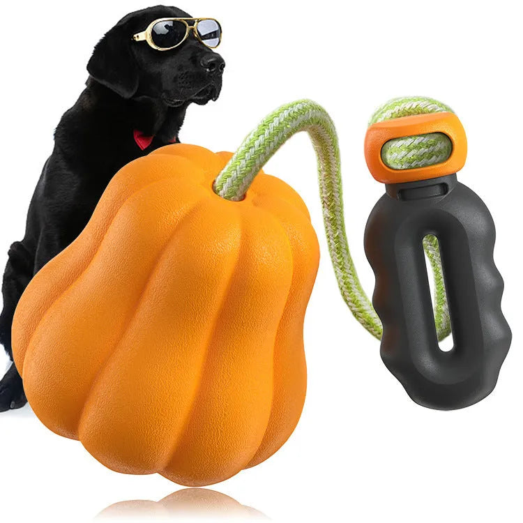 Pumpkin orange plastic dog toy with bite molar texture and an integrated blue tug-of-war rope.