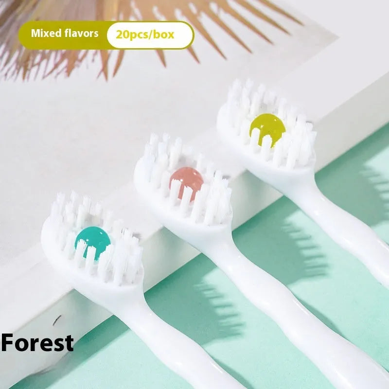 Box containing 20 disposable bead toothbrushes for travel and portable oral hygiene