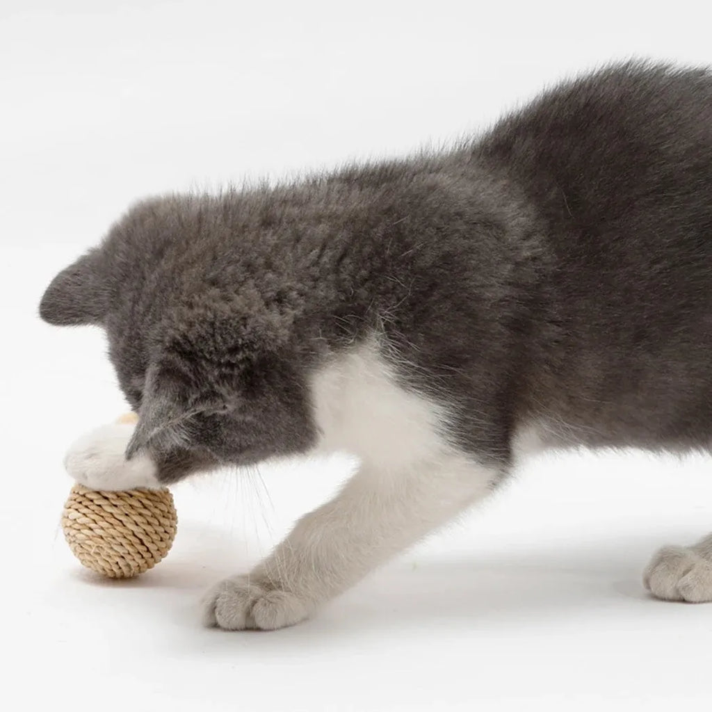 Two cat toys: a natural rattan ball with a bell and a colourful faux feather ball on a plain surface.