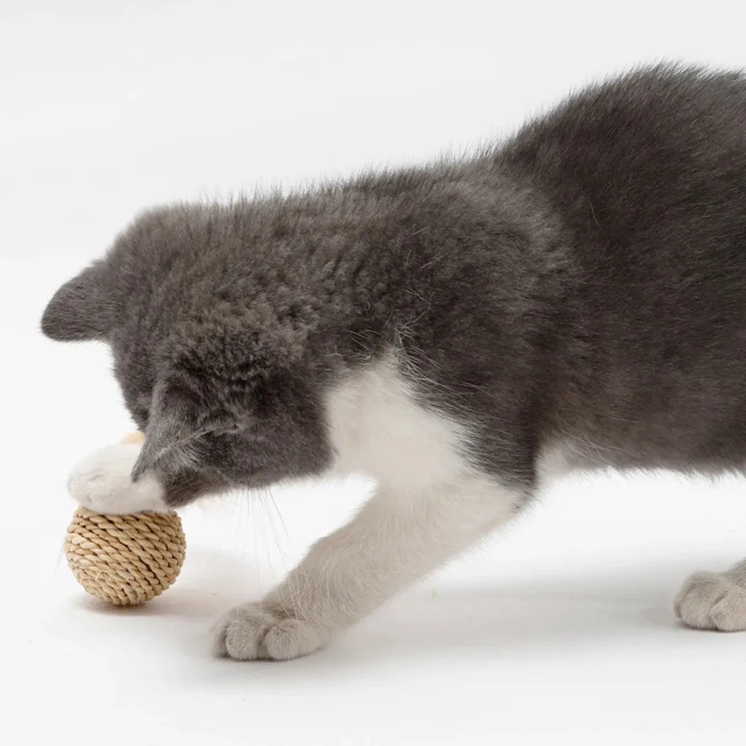Two cat toys: a natural rattan ball with a bell and a colourful faux feather ball on a plain surface.