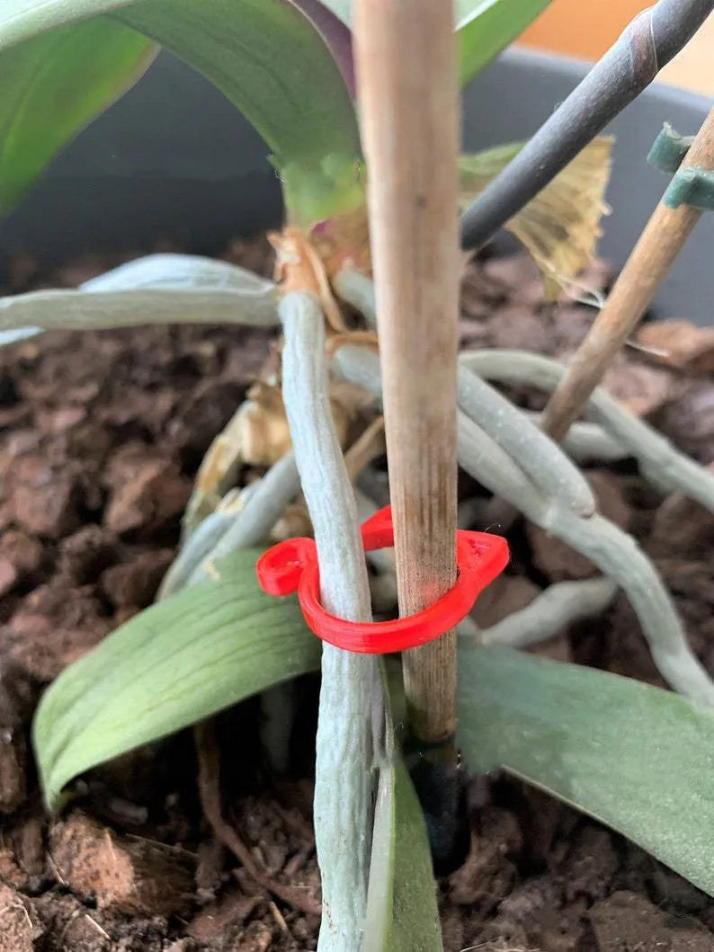 Cat-shaped plastic plant clip in garden with colourful options shown