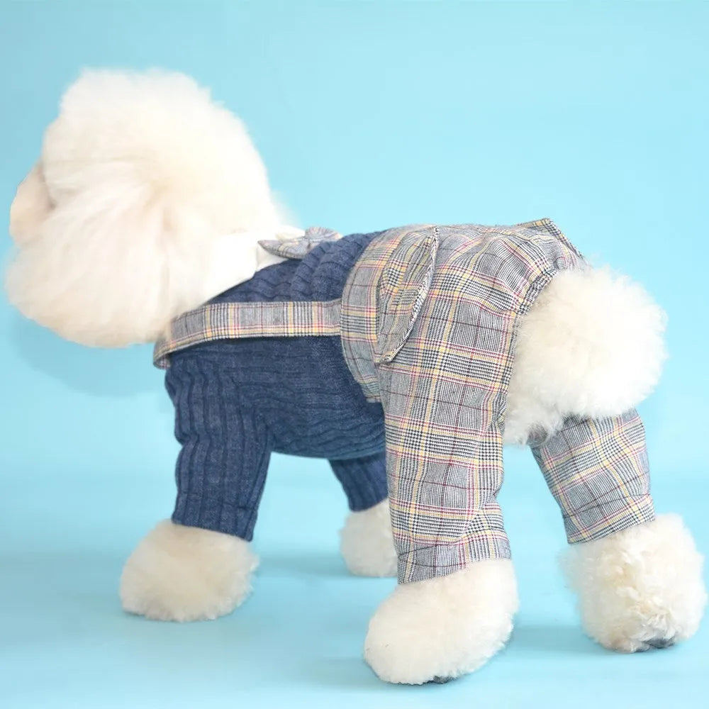 Orange cotton dog shirt with button front and fitted collar for small dogs