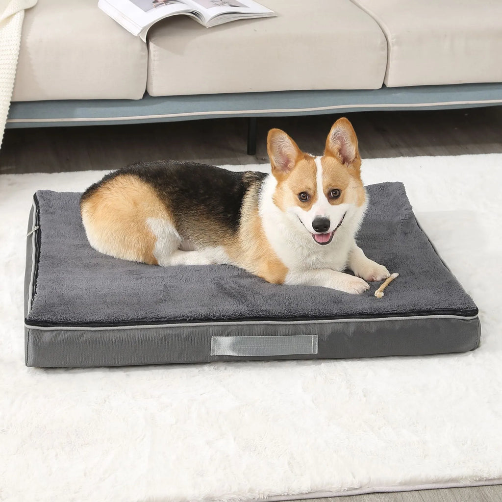 Removable washable sponge pet mat for dogs in multiple size and colour options