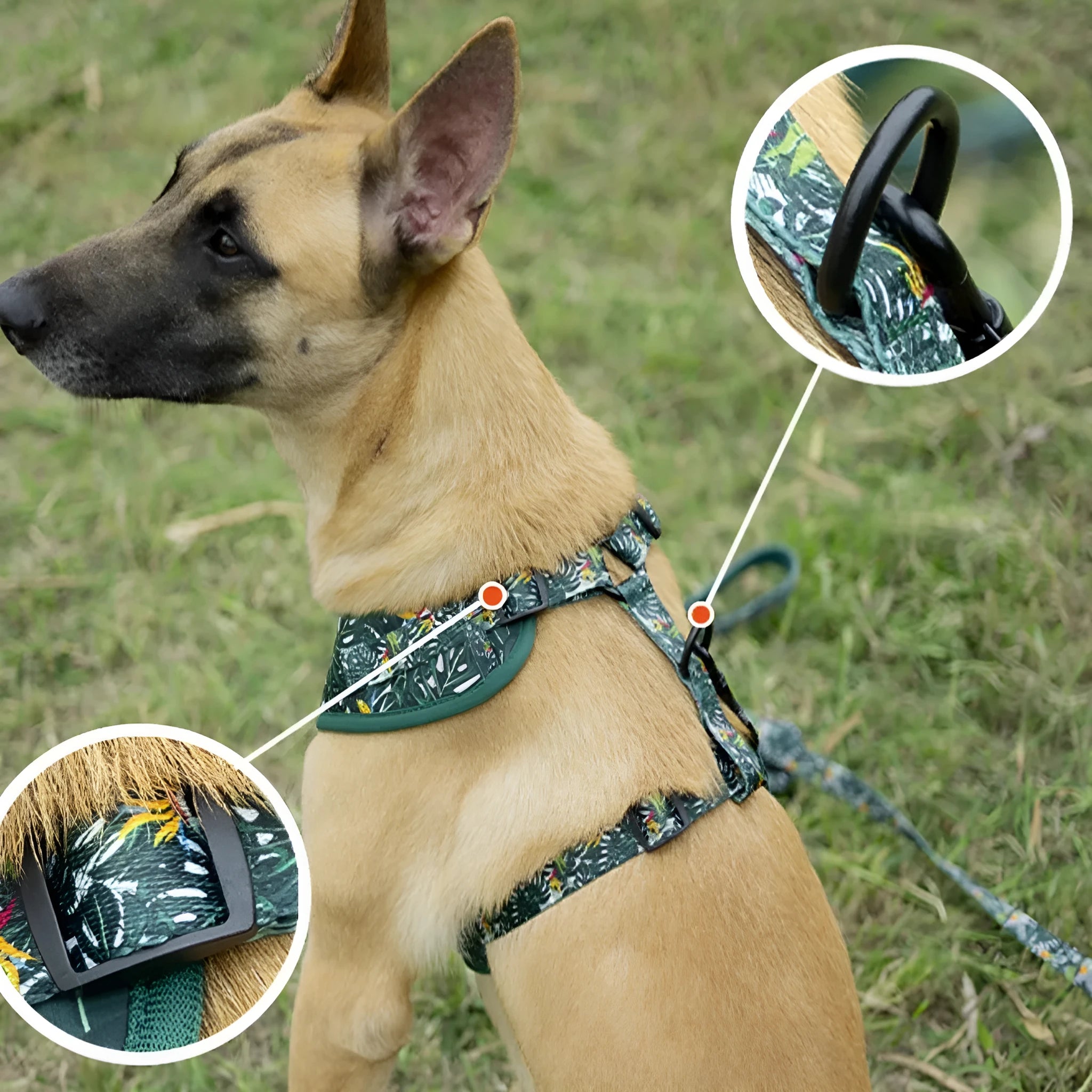 Adjustable cloth dog harness set with leash, collar, waste bag and decorative accessories in six-piece package