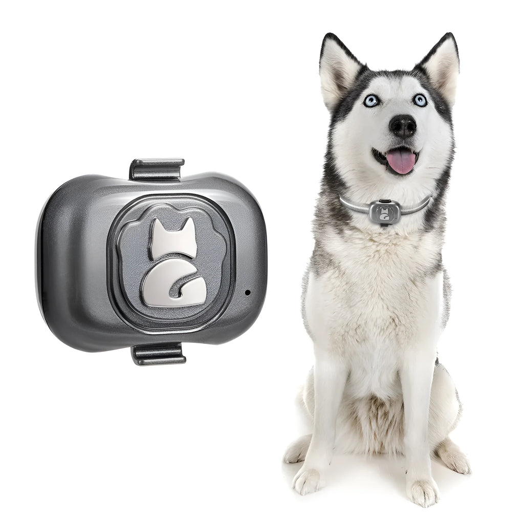 Black GF-07 pet GPS tracker with hanging rope attachment and IP67 waterproof rating