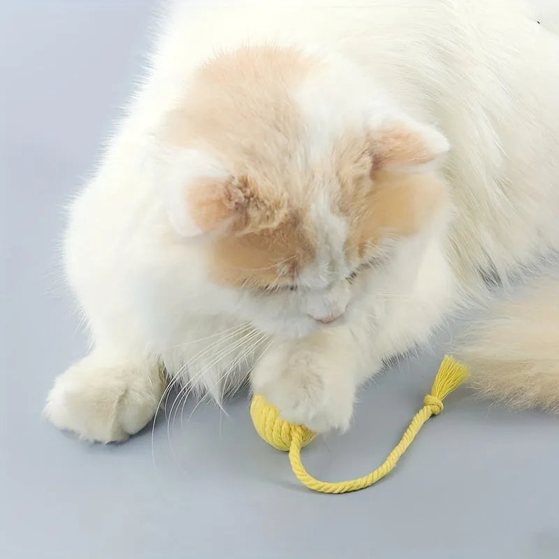 Colourful cat toy ball with rope handle and internal bell in 6cm or 3cm sizes