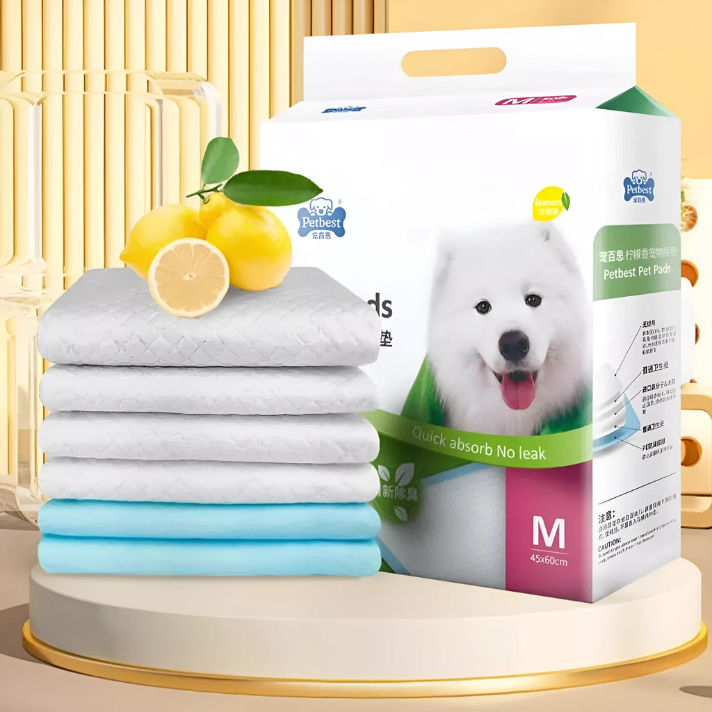 Pack of thickened dog urine pads showing S M L XL sizes with bamboo charcoal and adhesive options