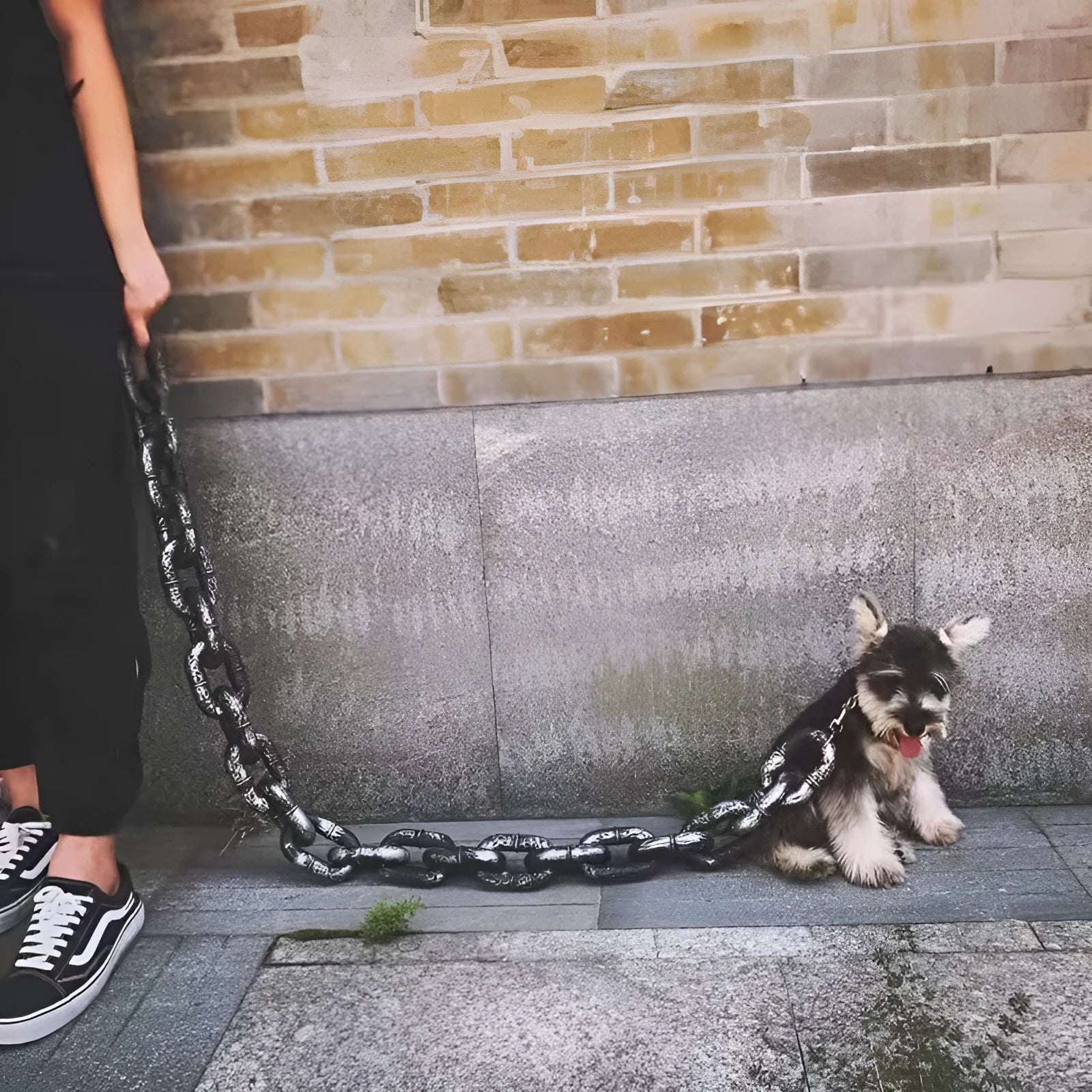 PP plastic dog leash simulation rope prop in bronze, antique silver, or black colours for video filming.