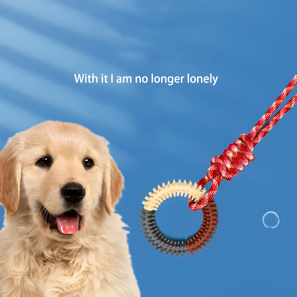 Braided rope dog toy with knot design in blue colour, 43 cm long chew toy for puppies