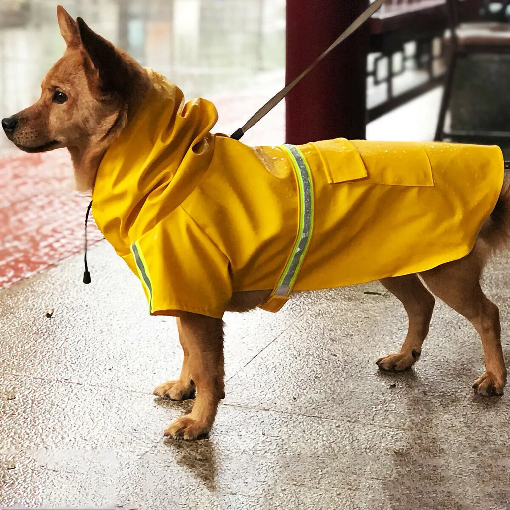 Waterproof dog raincoat in synthetic leather with reflective stripe and hood on a small dog