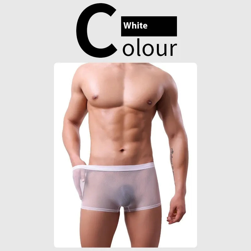 Men's low-waist mesh boxer briefs in six colours: black, white, green, sapphire blue, pink, and skin colour.