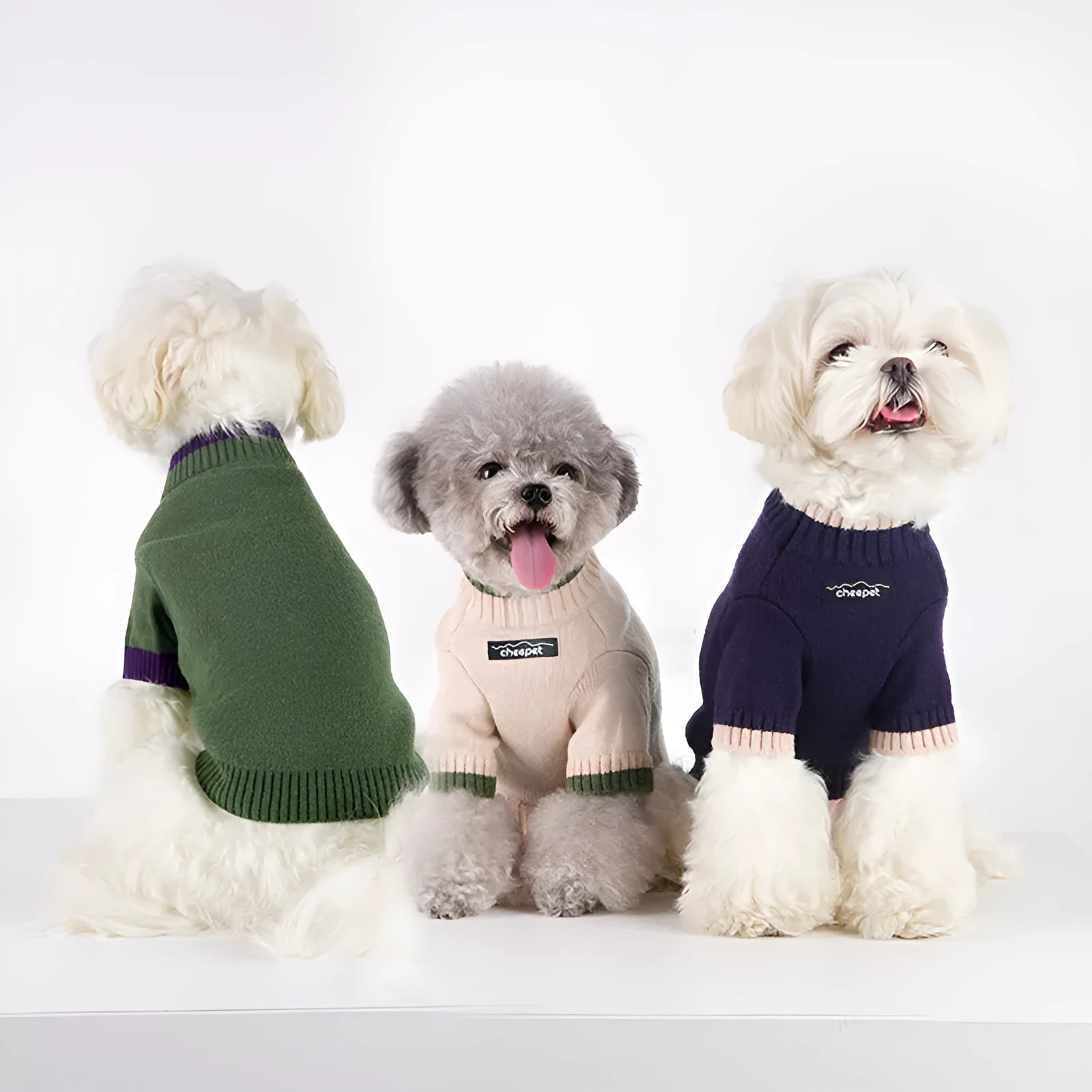 British style wool pet sweater for dog with contrast colour legs in Crown Blue.