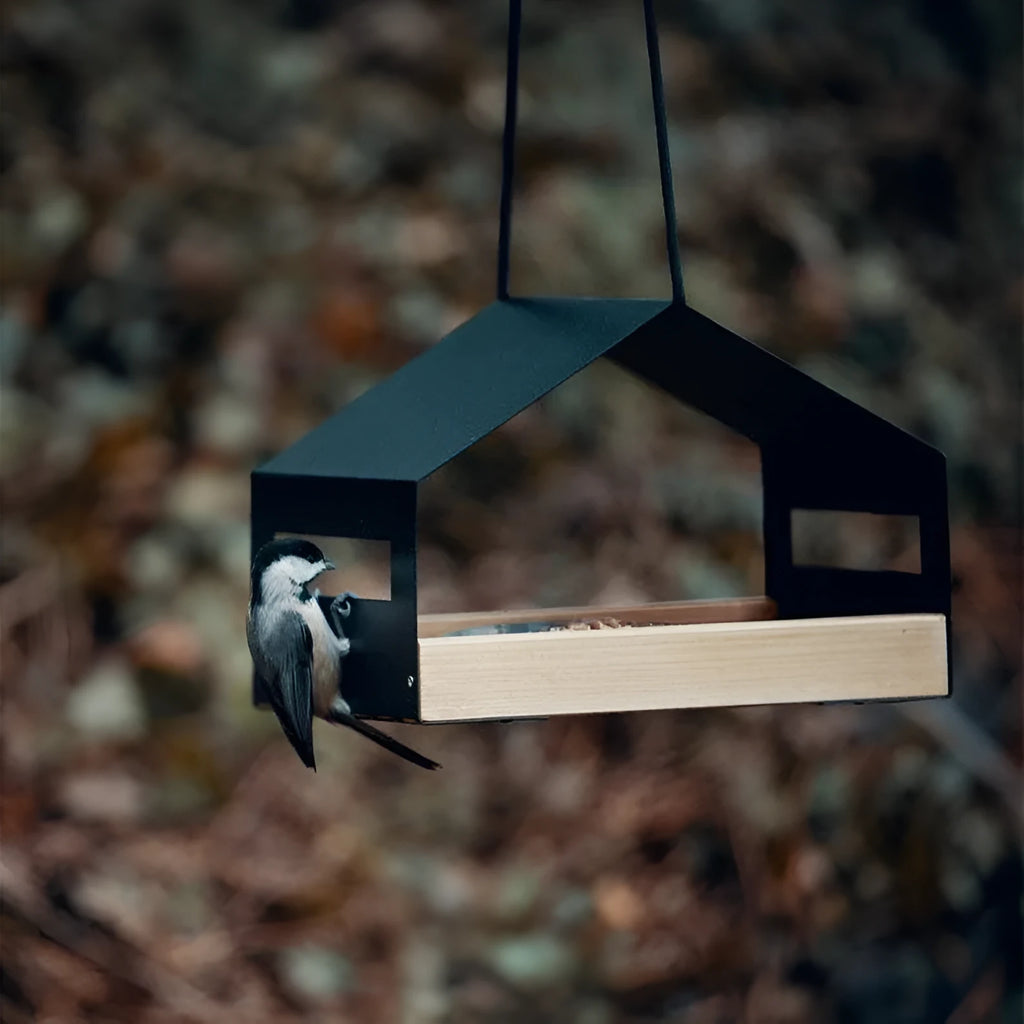 Black square geometry hanging bird feeder made from iron metal for outdoor garden decoration
