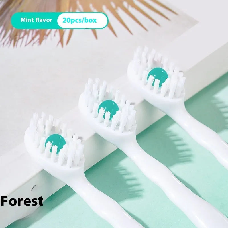 Box containing 20 disposable bead toothbrushes for travel and portable oral hygiene