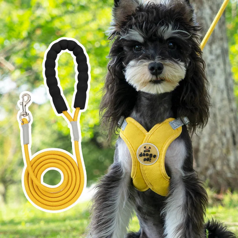 A blue polyester dog harness with an attached rope, laid flat, showing adjustable straps and metal clasp.