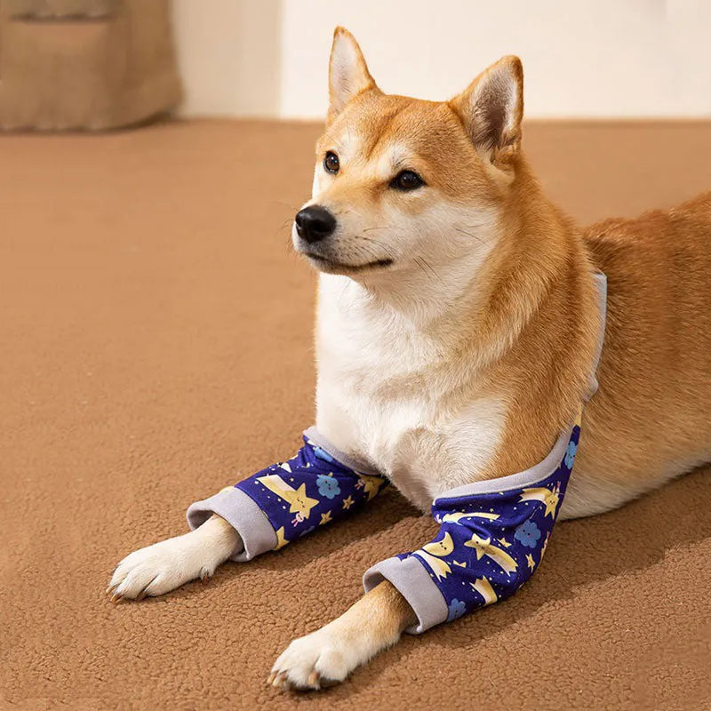 Blue dog knee protector pad with thick elbow padding and adjustable strap, shown with a matching scarf.