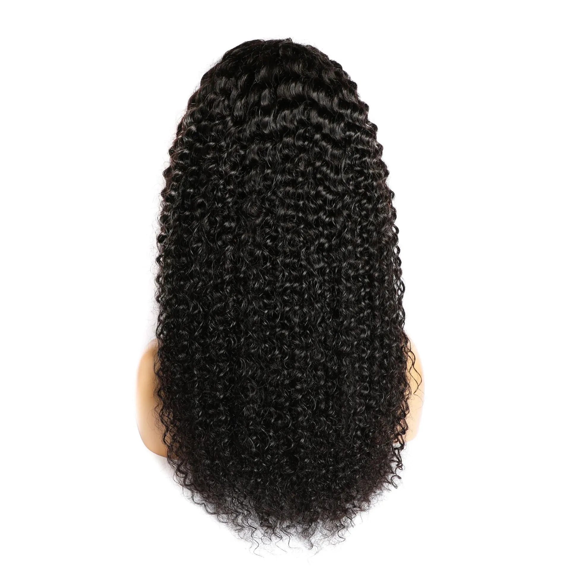 Curly human hair lace front wig showing natural texture and lace cap construction