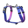 Polyester dog harness with chest strap in a gradient colour print, shown in S, M, L sizes.