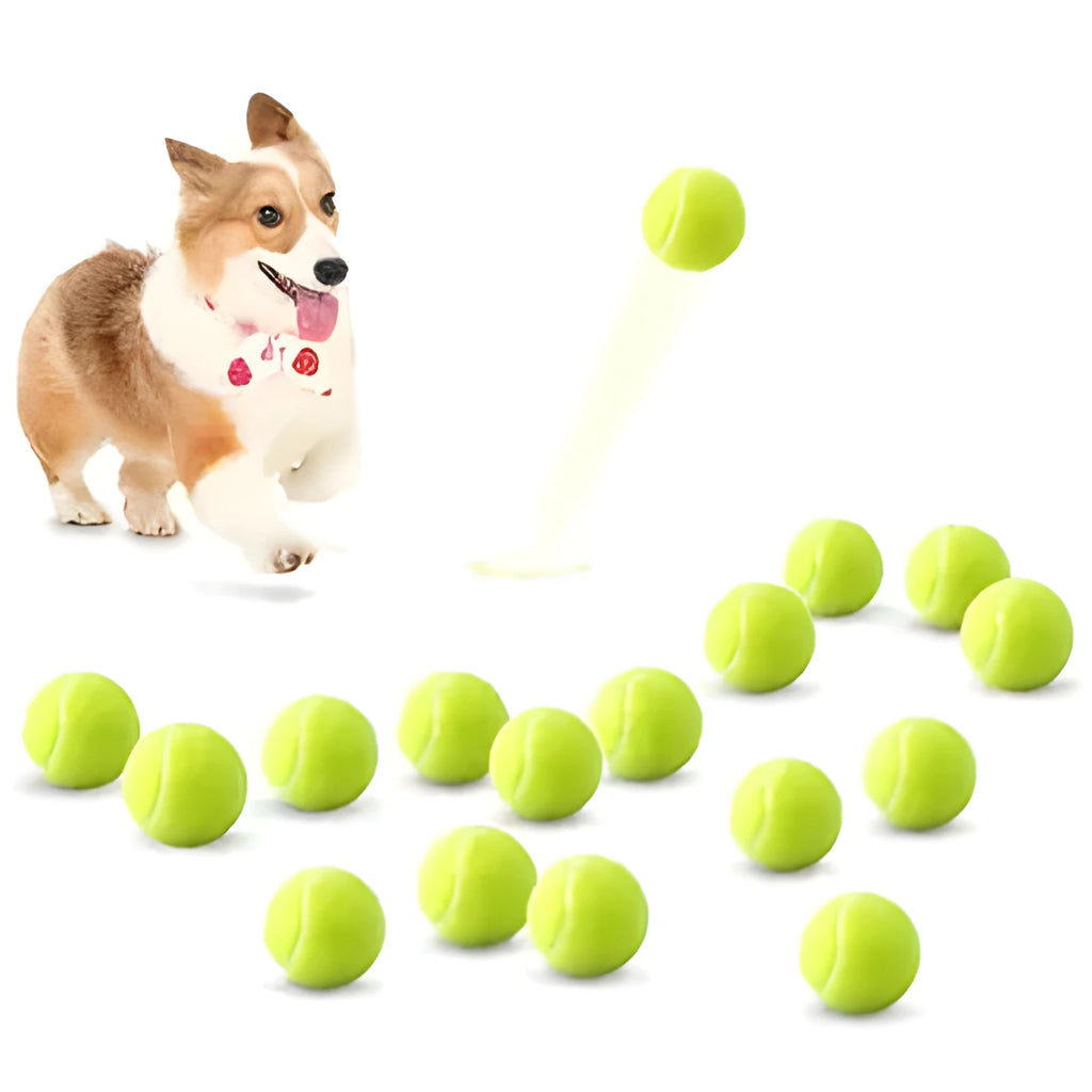 Bright coloured 6.3cm rubber dog toy tennis ball for chew-resistant fetch play
