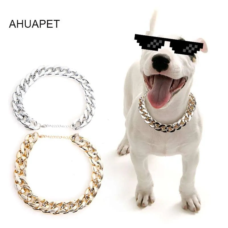 Gold geometric buckle dog chain collar on a small dog, showing twisted link design.