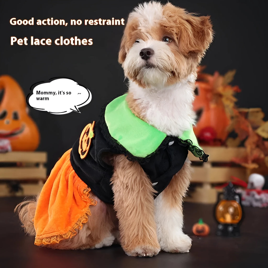 Crystal velvet pet costume with Halloween pumpkin skirt design for dogs and cats in various sizes
