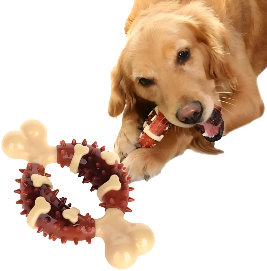Bone-shaped natural rubber dog molar chew toy for teeth grinding and anxiety relief