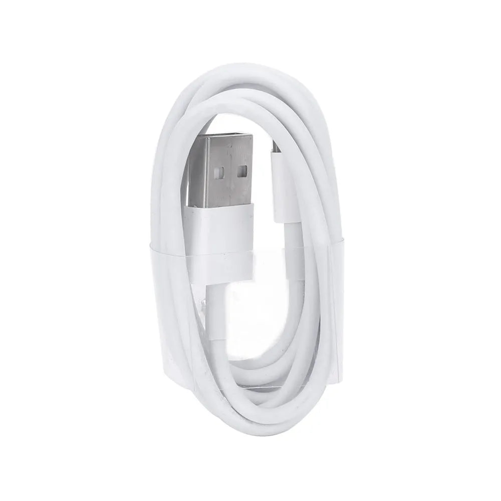 5V 2A USB wall charger with Lightning cable compatible with iPhone and iPad models