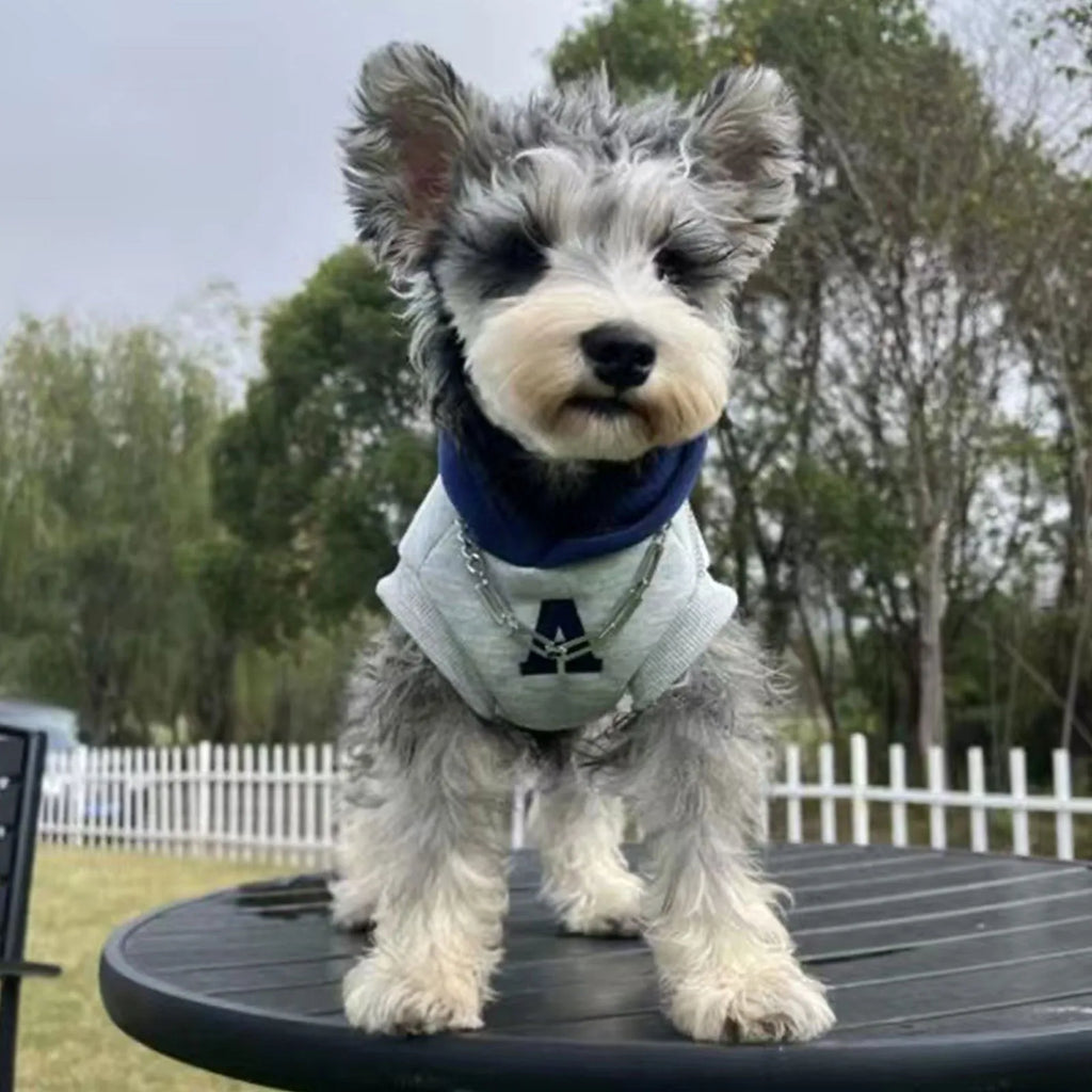 Blue and grey white slim-fitting pet hoodie with reflective letters for cats and dogs