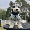 Blue and grey white slim-fitting pet hoodie with reflective letters for cats and dogs