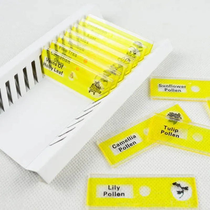 Children's educational microscope slides showing plant rhizomes, stems, leaves, and animal specimens in colour-coded categories