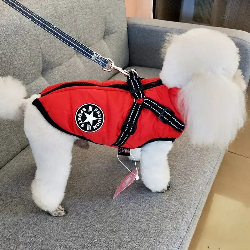 Waterproof dog coat with harness hole in rain silk fabric, available in multiple colours and sizes