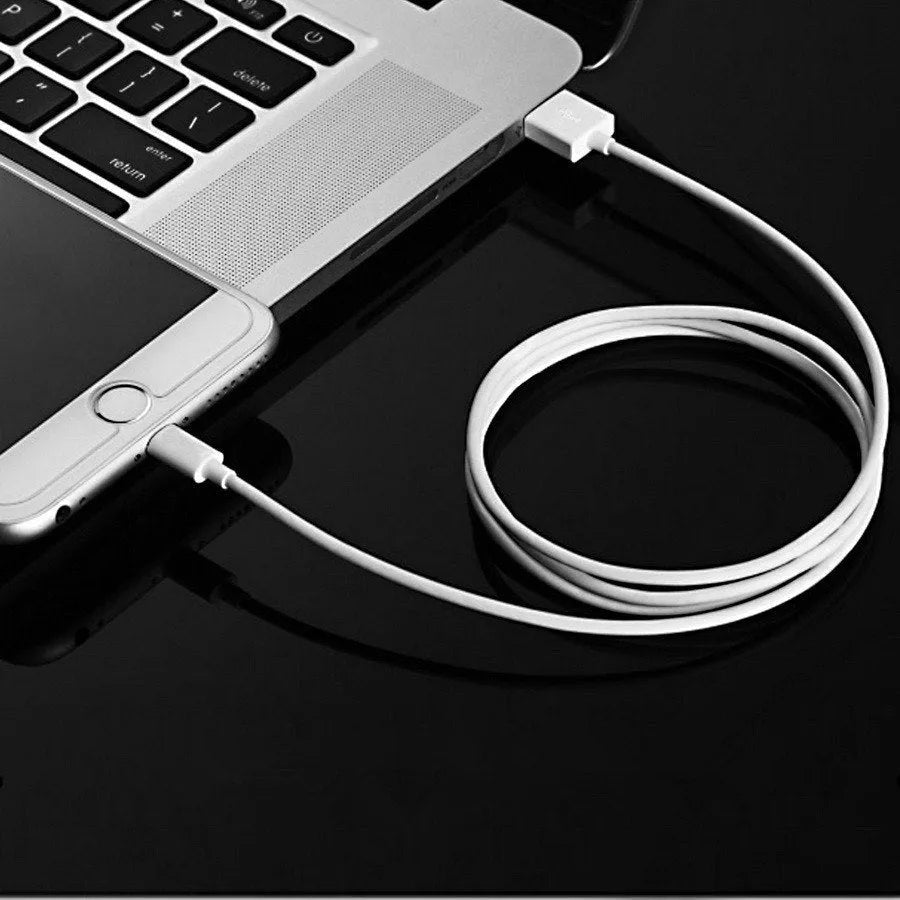 5V 2A USB wall charger with Lightning cable compatible with iPhone and iPad models