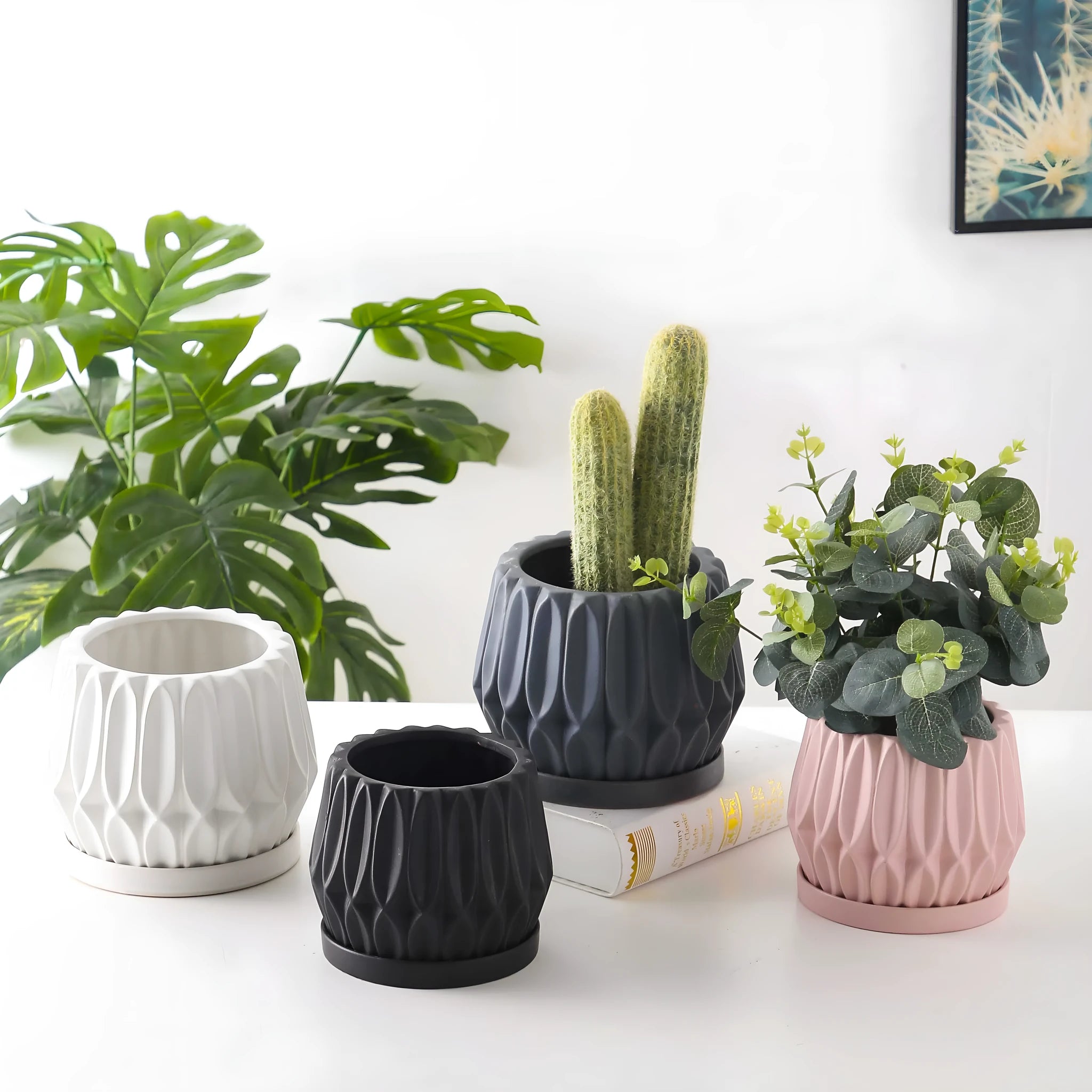 Grey small ceramic tabletop plant flowerpot on desktop with green plant