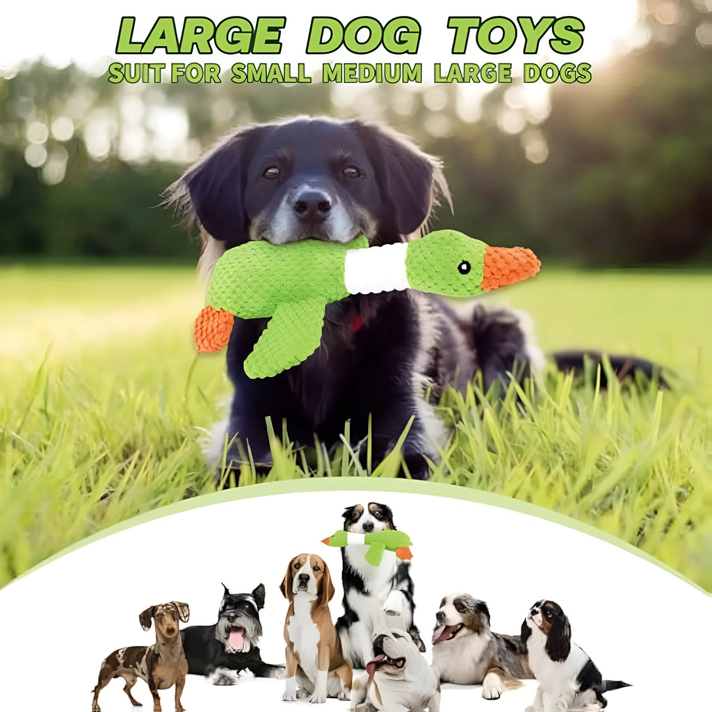 Blue green and grey durable duck plush dog toy with squeakers for chewing and play
