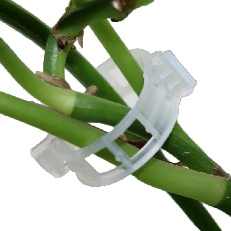 Plastic tomato plant grafting clips set of 50 pieces for garden vine support