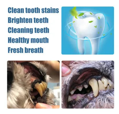 White pet teeth whitening pen applicator with two dental brushes for dog and cat oral care