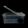 Plastic transparent reptile feeding box 19x12.5x7.5cm on a white background