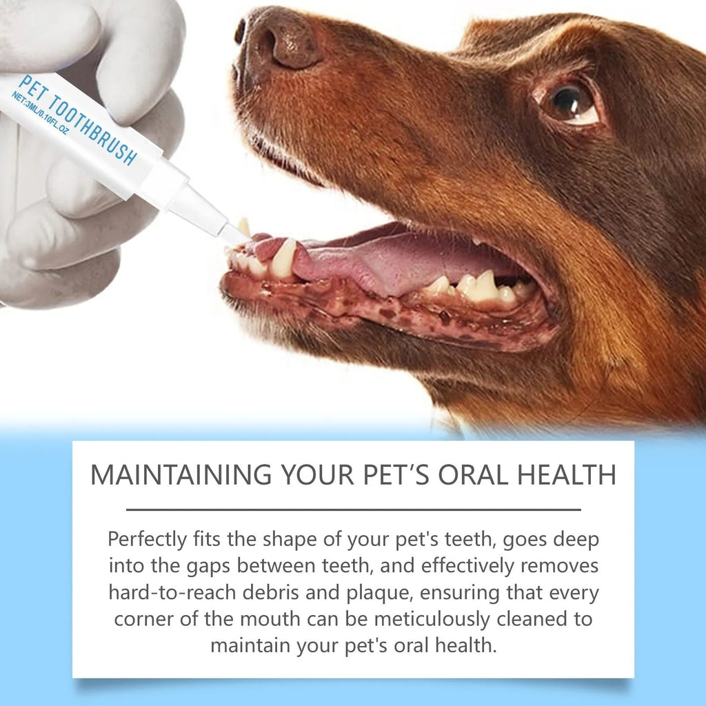 Soft silicone pet toothbrush pen with mint toothpaste tube for cat and dog dental care