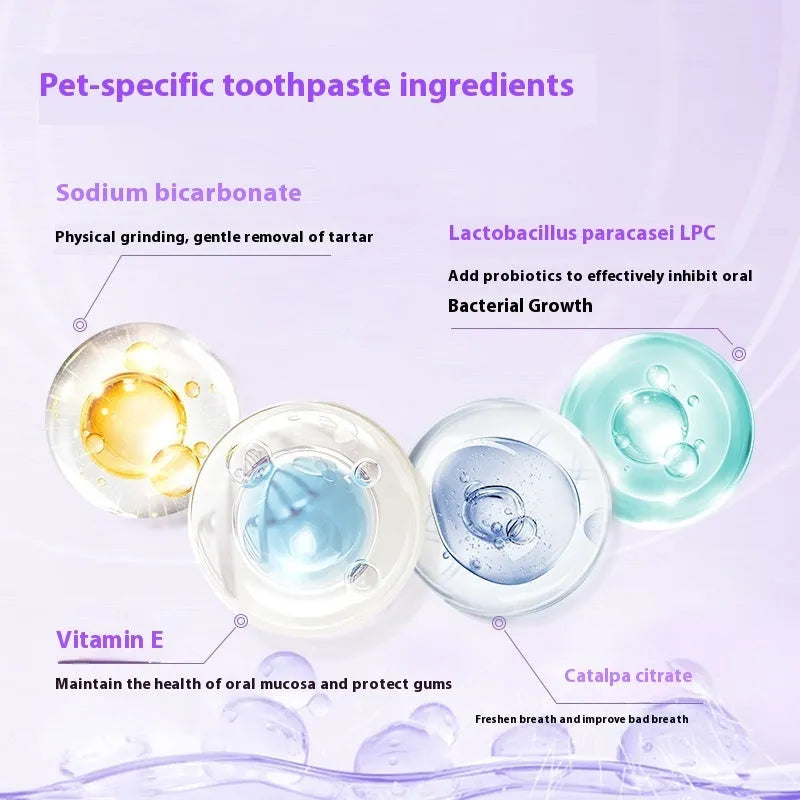 Pet teeth whitening pen with brush head for dog and cat dental care