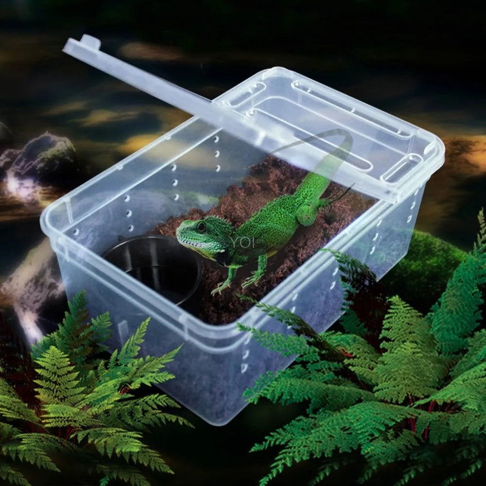 Plastic transparent reptile feeding box 19x12.5x7.5cm on a white background