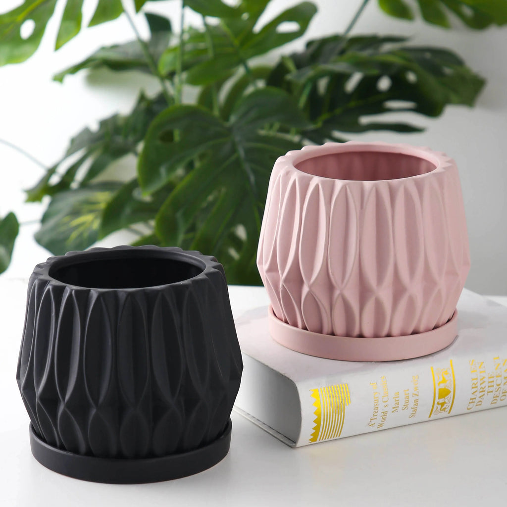 Grey small ceramic tabletop plant flowerpot on desktop with green plant