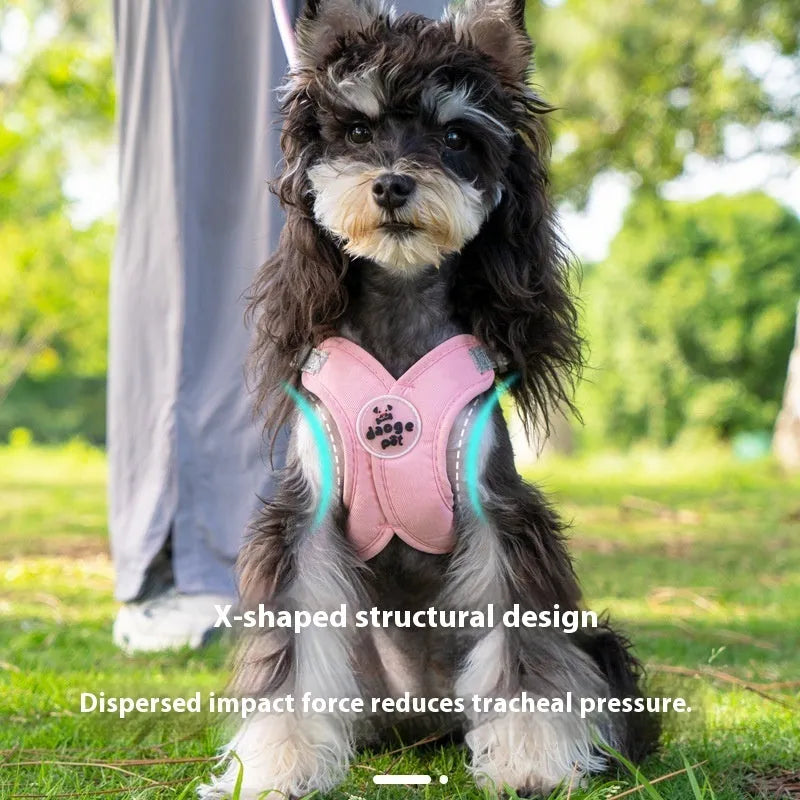A blue polyester dog harness with an attached rope, laid flat, showing adjustable straps and metal clasp.