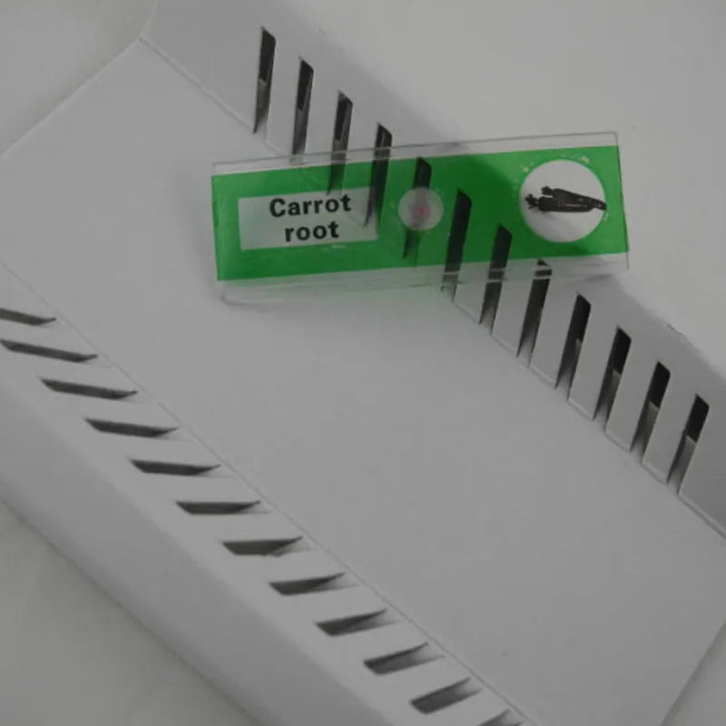 Children's educational microscope slides showing plant rhizomes, stems, leaves, and animal specimens in colour-coded categories