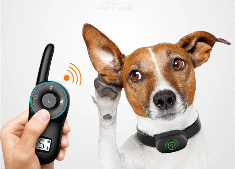 Black rechargeable remote dog training collar with waterproof bark control features